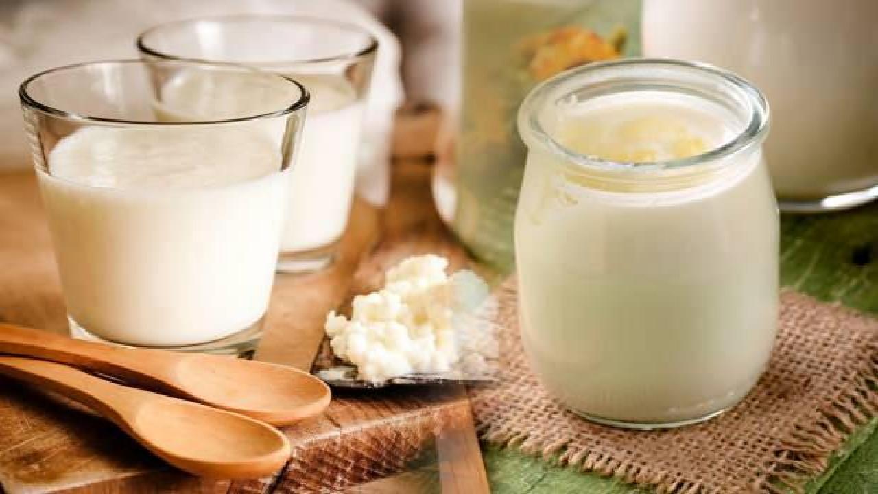 Kefir nedir, faydaları nelerdir?