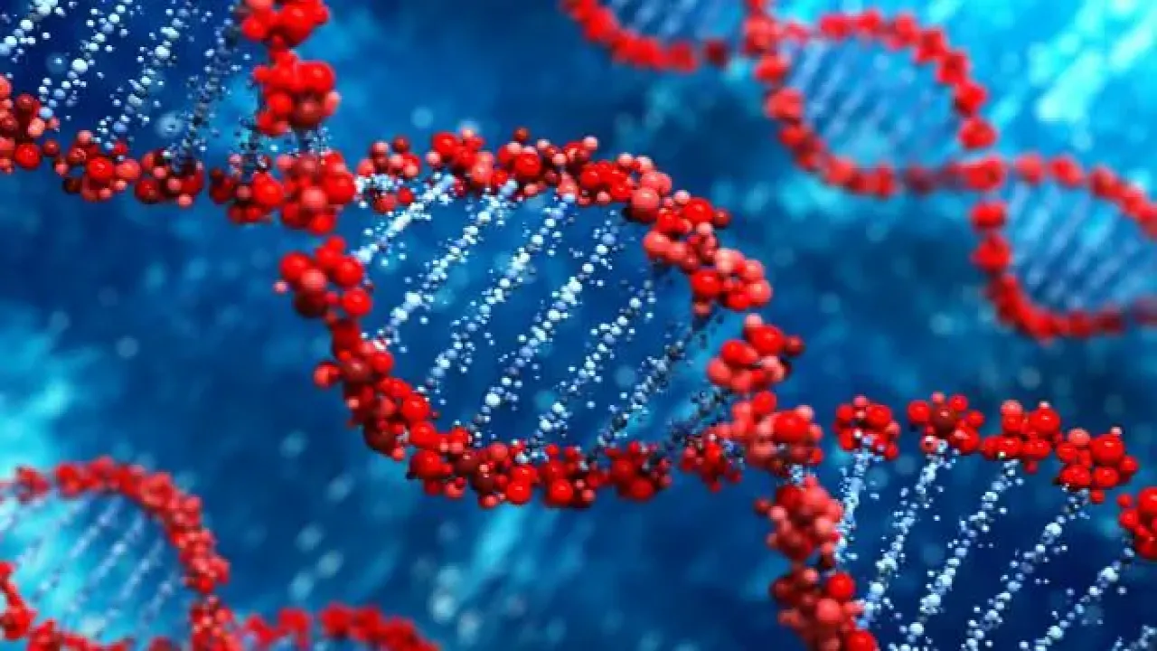 'Güvenli' denilen maddenin DNA’ya zarar verdiği ortaya çıktı!