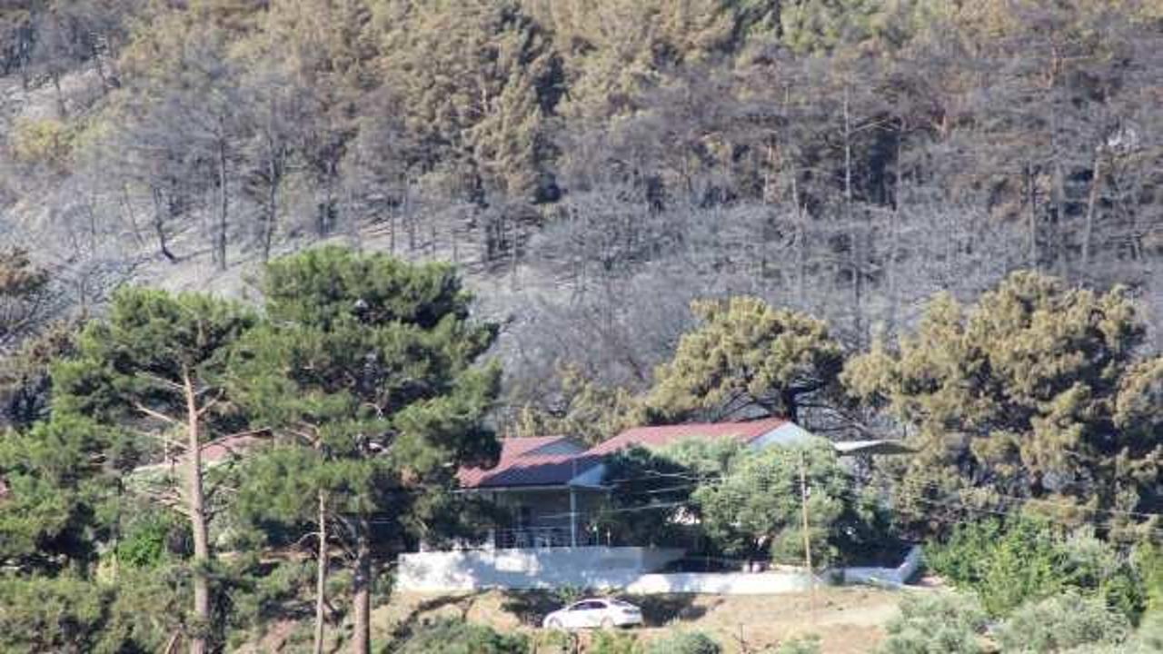 Hatay, Mersin ve Çanakkale'de dün çıkan orman yangınlarına müdahale sürüyor