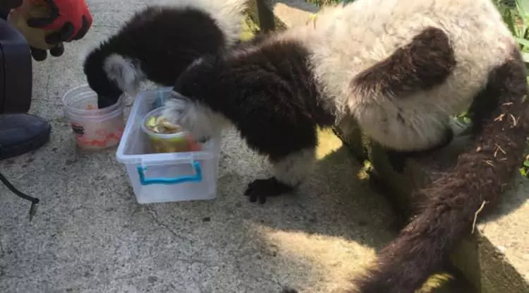 Bodrum plajlarında yeni trend!