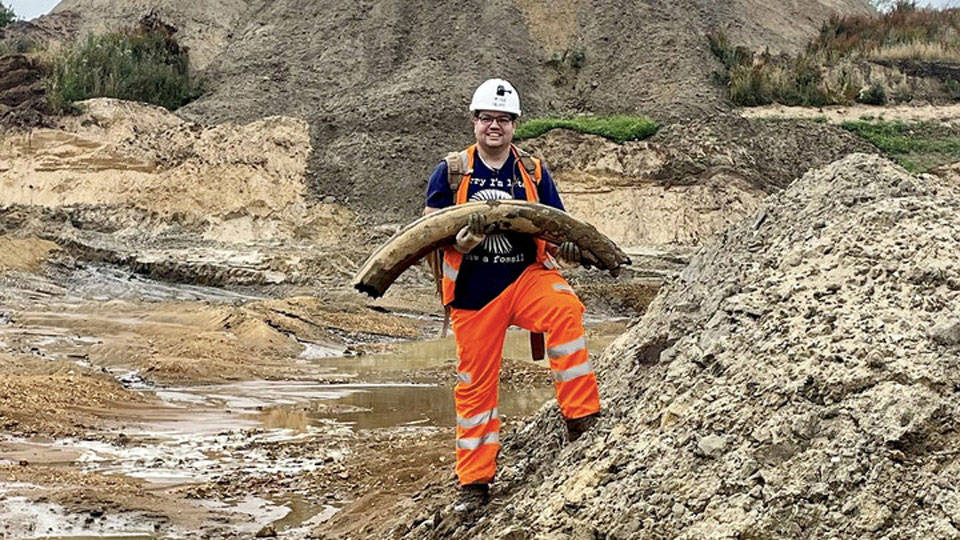 İngiltere'de 450 bin yıllık mamut fosili bulundu