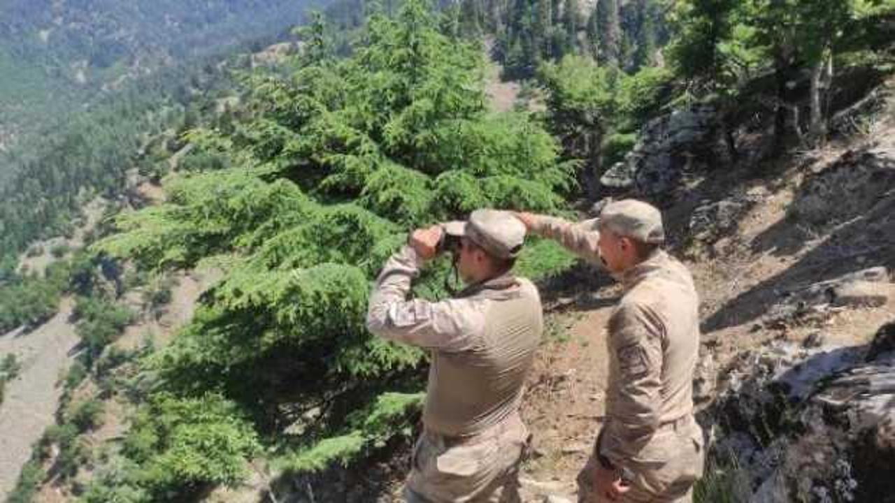 Kaybolan Alzheimer hastasını, 60 kişilik jandarma ekibi arıyor