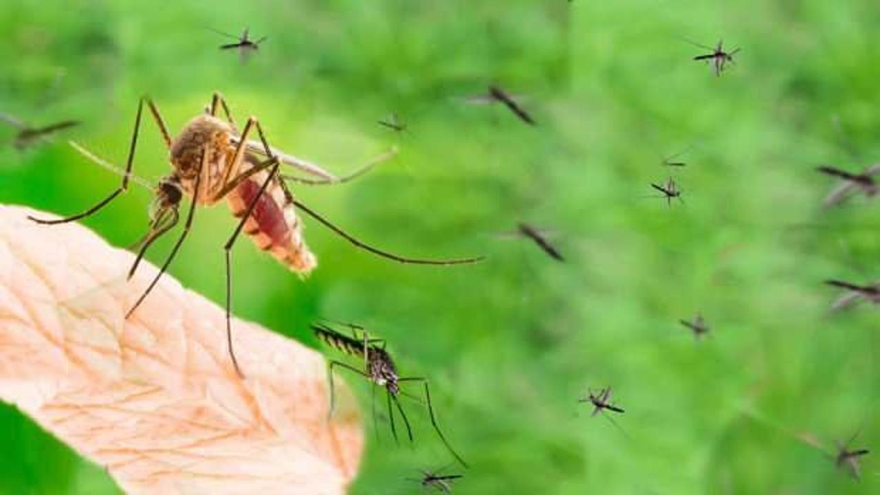 Sivrisinek ısırığına ne iyi gelir?