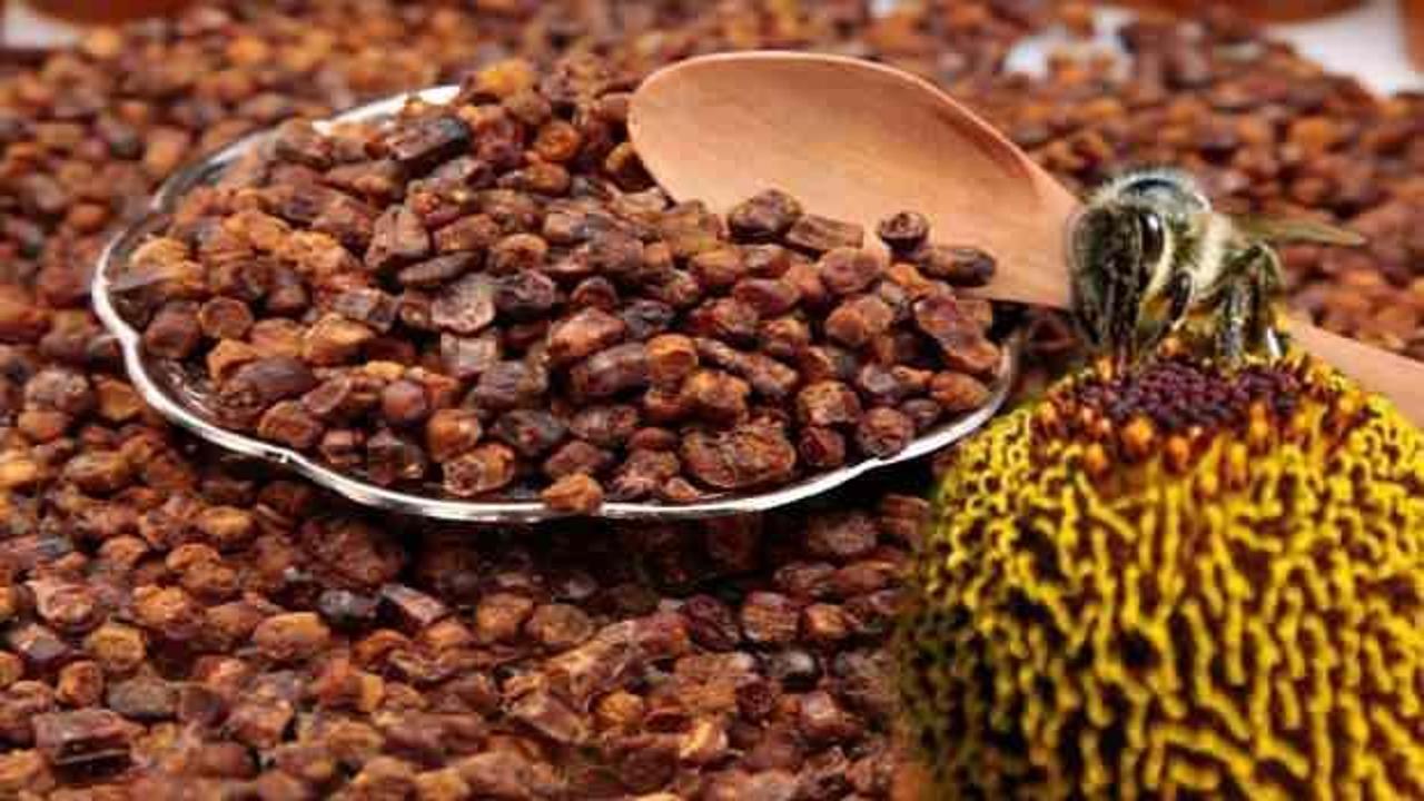 Arı ekmeği nasıl yapılır?