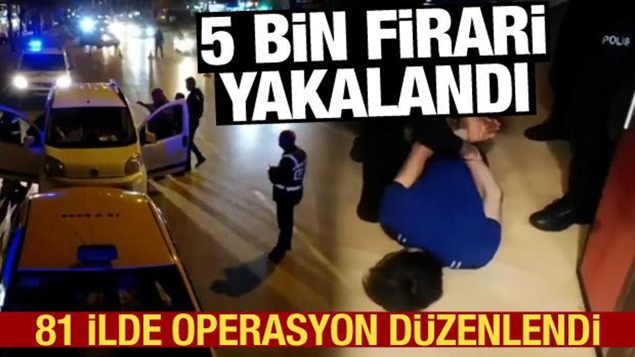 81 ilde 