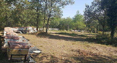 Üniversitenin zarar gören arı kovanları üretici desteğiyle yenilendi