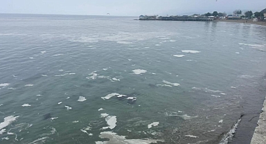 Mudanya'yı müsilaj sardı, deniz beyaz tabakayla örtüldü