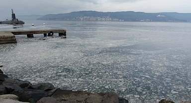 Müsilaj Çanakkale Boğazı'nı kaplamaya başladı