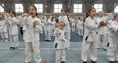 Osmangazi’de karate eğitim semineri