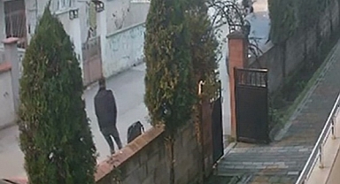 Azılı maganda yakalandı