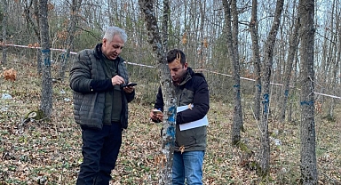 Bursa Ormanlarındaki ağaçlar tek tek kontrol edildi