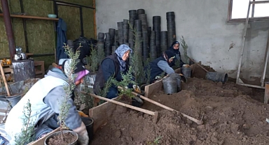 Karacabey Belediyesi’nden doğaya saygılı estetik çalışmalar