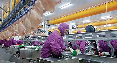 Türkiye AB'ye işlenmiş tavuk eti ihracatına hazırlanıyor