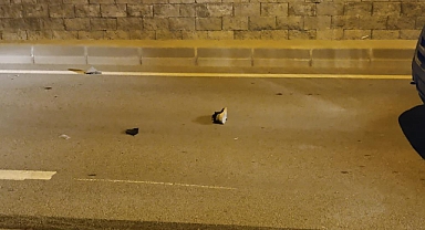 Bursa’da yolun karşısına geçen 2 kişiye hafif ticari araç çarptı: 2 yaralı