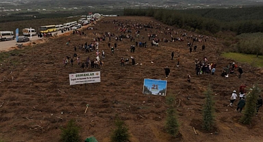 Minik elleriyle fidanları toprakla buluşturdular