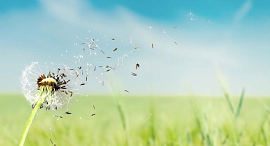 Baharla birlikte gelen polen kabusunuz olmasın