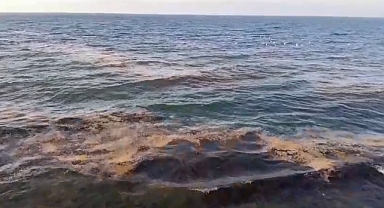 Mudanya sahilinde görülen müsilaj tedirgin etti