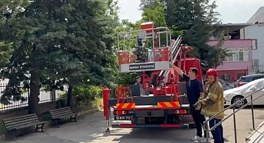 Bursa'da ağaçta mahsur kalan kedileri itfaiye kurtardı