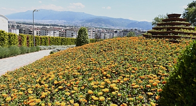 Osmangazi’nin her yeri çiçek kokuyor