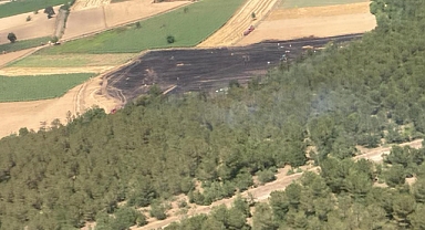 30 dönümlük buğday tarlası küle döndü
