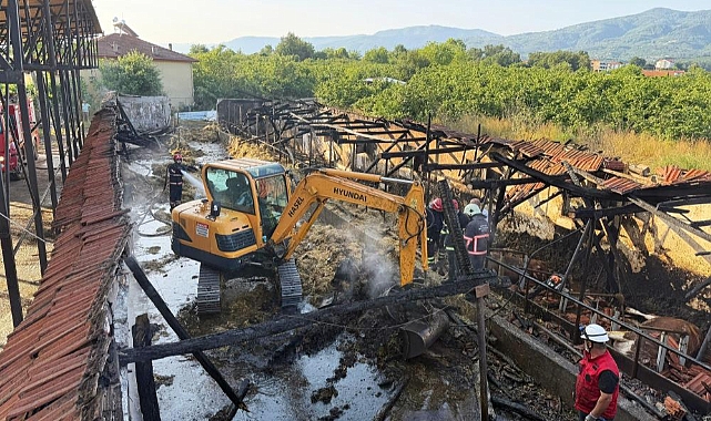 Bayrama iki gün kala yürek yakan yangın: Kurbanlıklar telef oldu