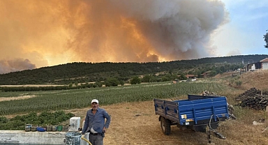 Bilecik’teki orman yangınında bir köy kül oldu