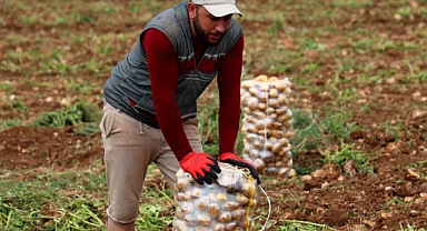 Bunlar özel işçiler: Günlük 250-300 ton patates yükleyip 2 bin 500 TL kazanıyorlar