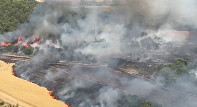 Bursa'da buğday tarlaları alevlere teslim oldu