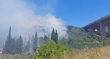 Bursa'da çam ormanı yanıyor
