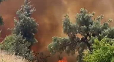 Bursa'da orman yangını köydeki evlere sıçradı...Büyük panik yaşanıyor