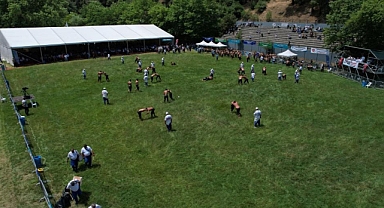Çalı’da başpehlivan Mehmet Yeşil Yeşil oldu