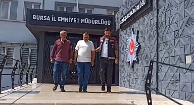 Enginarları bir gecede hasat eden hırsızlar yakalandı