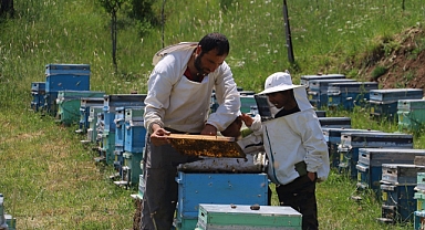 Geçmişte çöpe gidiyordu, şimdi kilosu 3 bin TL’den satılıyor