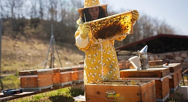 İznik'ten Londra'ya bal gibi başarı