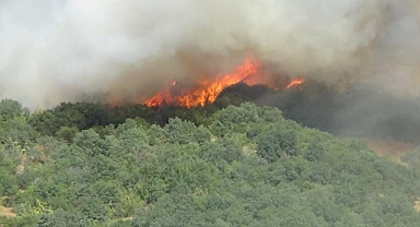 Karacabey'de ateş ve mangal yakmak yasaklandı
