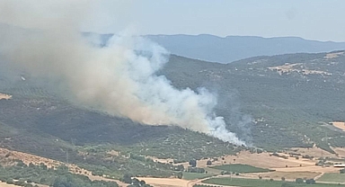 Kestel'de aynı ormanın aynı yerinde yeniden yangın başladı