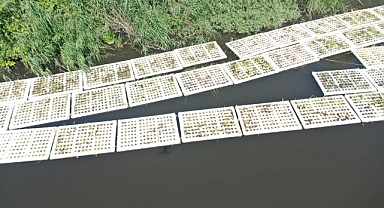 Marmara Denizi'ni besleyen derelerde 