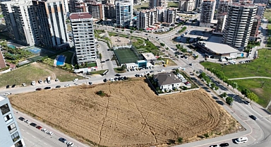 Milyon dolarlık lüks gökdelenlerin ortasında buğday hasadı