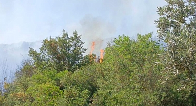 Orhangazi'deki yangına havadan ve karadan müdahale ediliyor
