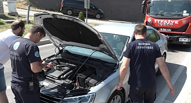 Yavru kedi, trafiği kilitledi