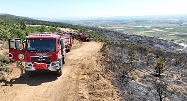 Yenişehir'de 500 futbol sahası büyüklükte alan kül oldu