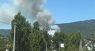 Yenişehirde orman yangını: Havadan ve karadan müdahale ediliyor