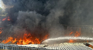 Bozbey’den sert uyarı: “Defalarca uyardım, anız yakmayın”
