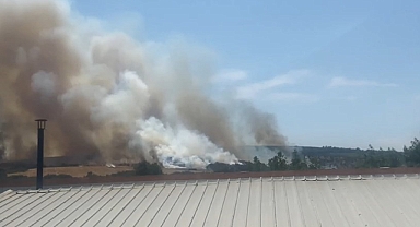 Bursa’da orman yangını