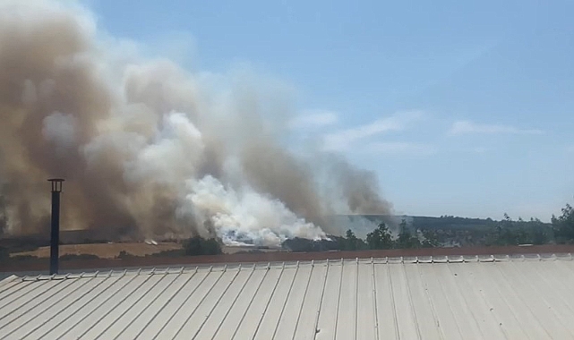 Bursa’da orman yangını