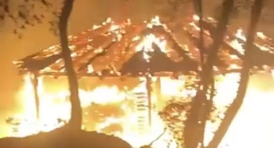 Bursa'da piknikçilerin söndürmeden bıraktığı ateş ormanı küle çeviriyordu