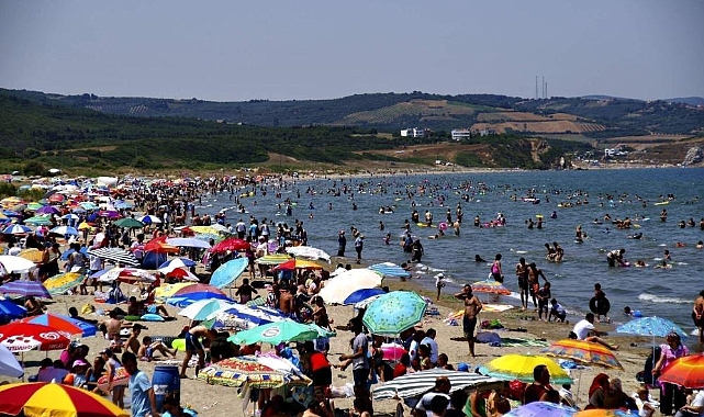Bursa sahillerinden sevindiren haber