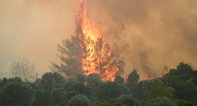 İzmir'de yangınla mücadele sürüyor