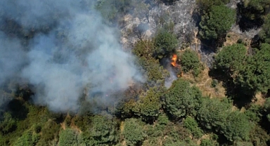 Sultangazi Kent Ormanı’nda yangın: İtfaiye ekipleri alevlere müdahale ediyor