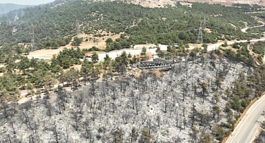 Tarihinin en büyük Gürsu yangınından yürek burkan bu manzaralar kaldı